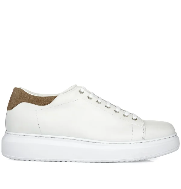 Berkeley - Elevator Sneakers in Mix of leathers from 2.4 to 3.1 inches