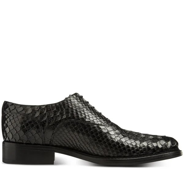 Tolosa - Elevator Shoes in Python Leather from 2.4 to 3.1 inches