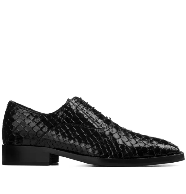 Madagascar - Elevator Dress Shoes in Python Leather from 2.4 to 3.1 inches