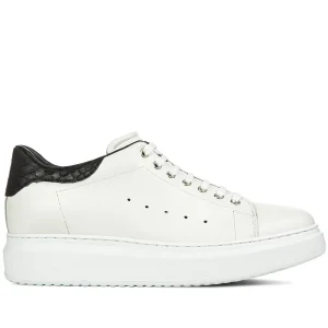 Alexander - Elevator Sneakers in Mix of leathers from 2.4 to 3.1 inches