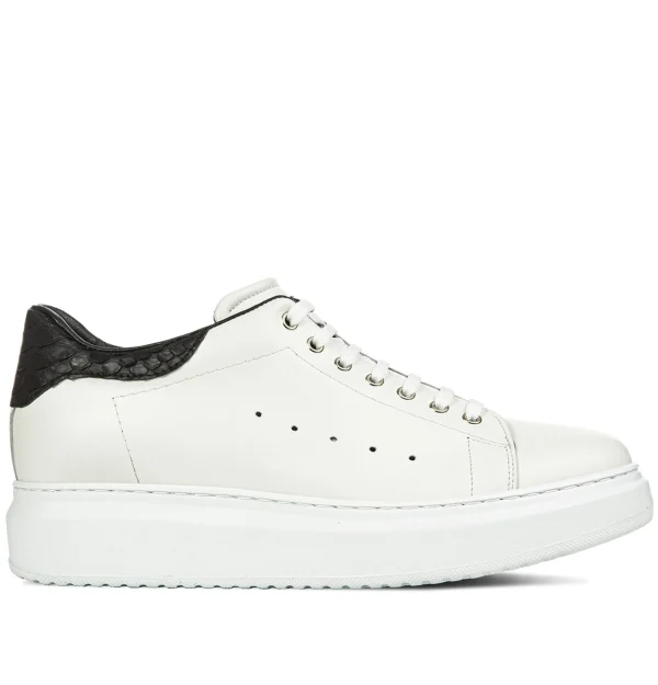 Alexander - Elevator Sneakers in Mix of leathers from 2.4 to 3.1 inches