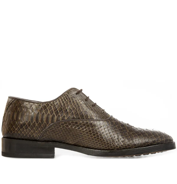 Mezzago - Elevator Dress Shoes in Python Leather from 2.4 to 3.1 inches