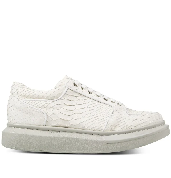 Bossa - Elevator Sneakers in Python Leather from 2.4 to 3.1 inches