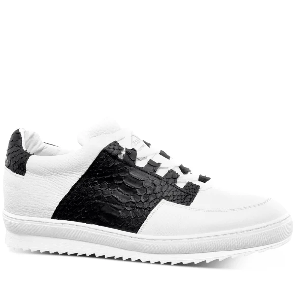 Abbey Road - Elevator Sneakers in Mix of leathers from 2.4 to 3.1 inches