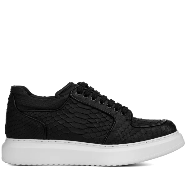 Zoagli - Elevator Sneakers in Python Leather from 2.4 to 3.1 inches